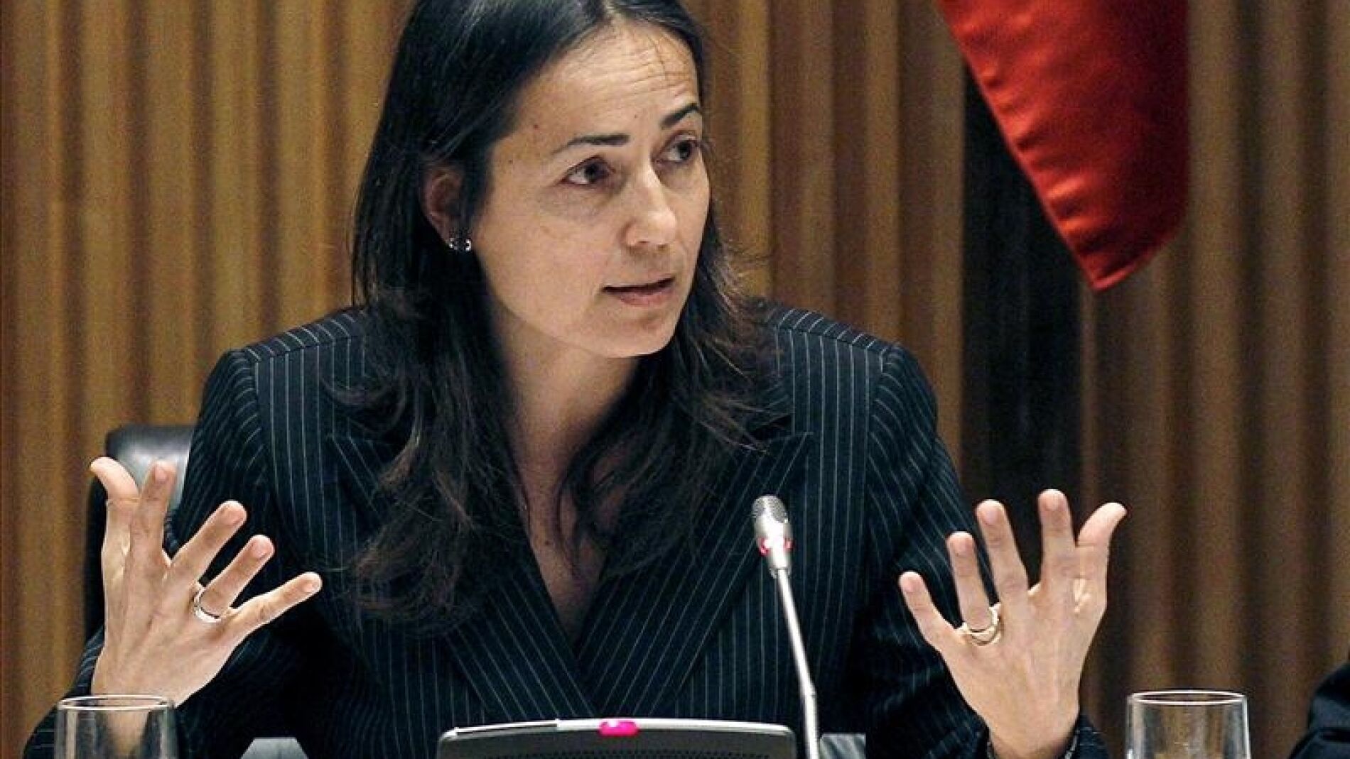 Mar&iacute;a Segu&iacute; compareciendo