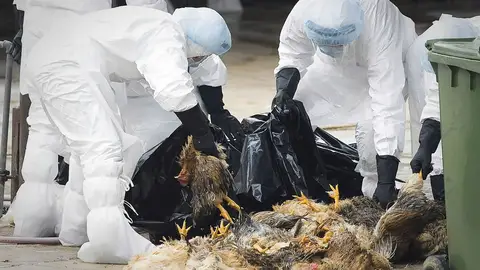 Hong Kong en alerta por la Gripe A Hong Kong en alerta por la Gripe A