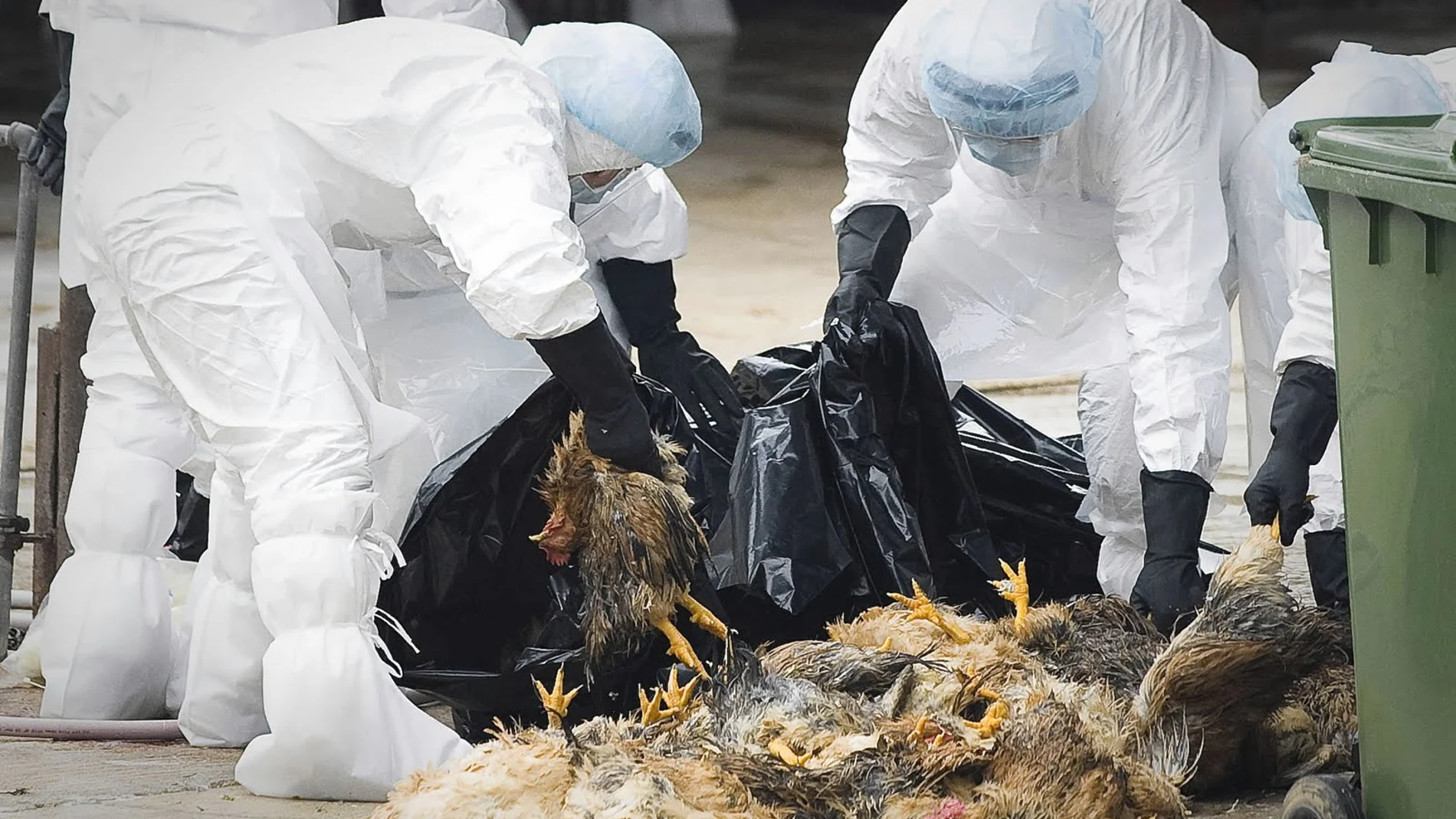 Hong Kong en alerta por la Gripe A Hong Kong en alerta por la Gripe A