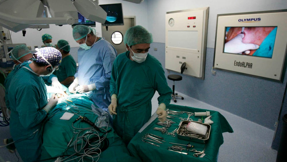 Nuevo récord, 36 trasplantes en un día
