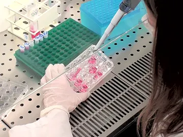 Estudio desarrollado por investigadores españoles Estudio desarrollado por investigadores españoles
