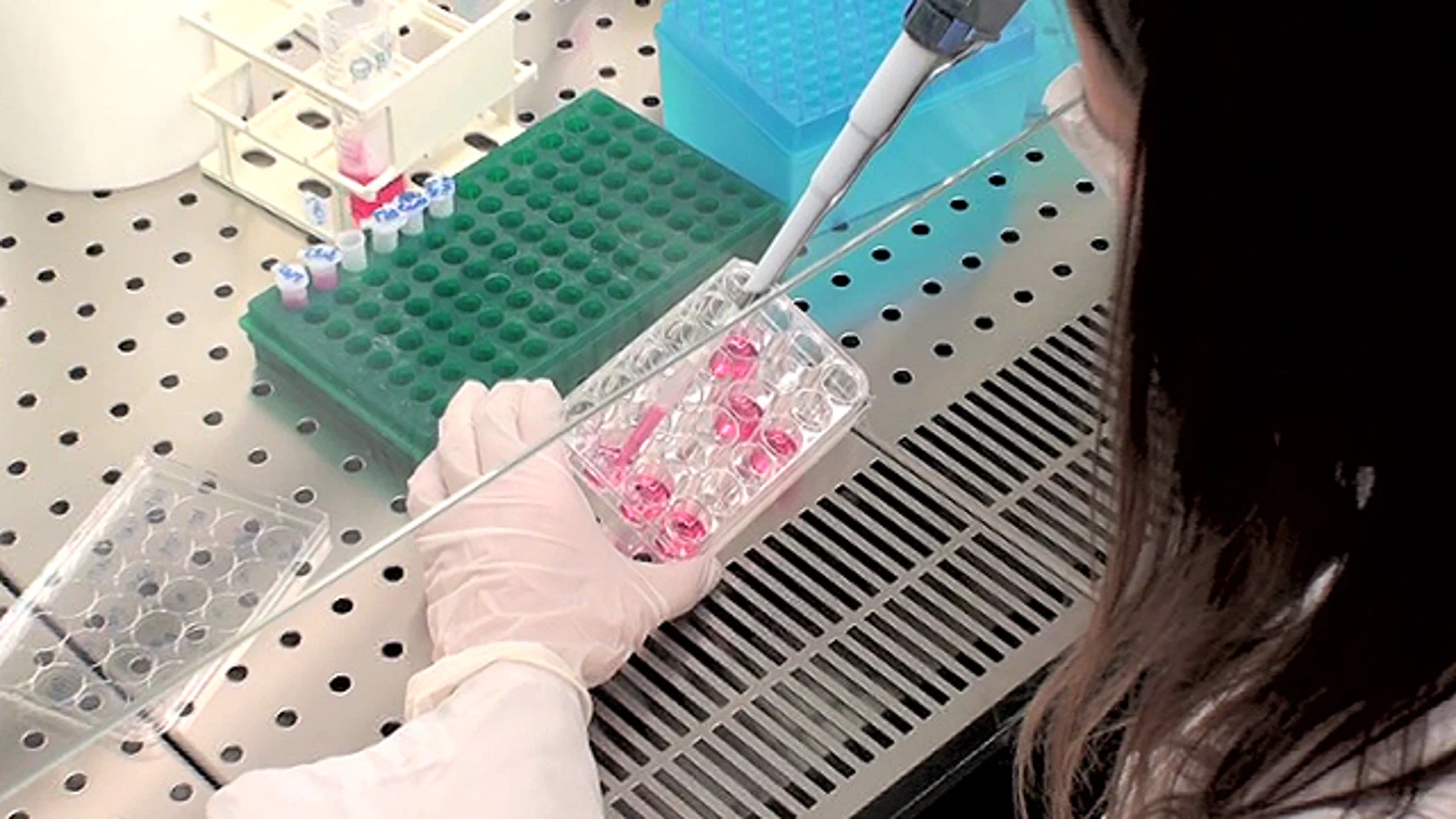 Estudio desarrollado por investigadores españoles Estudio desarrollado por investigadores españoles