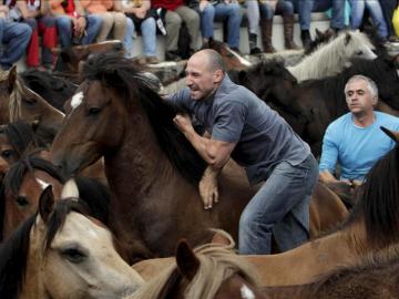 Hombres y caballos retan sus fuerzas en la Rapa das Bestas