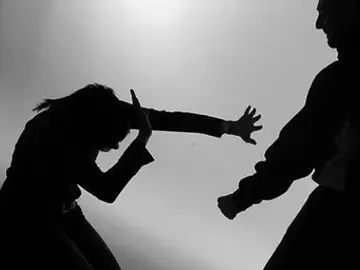 Violencia de género Violencia de género