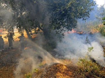 Las llamas avanzan con intensidad durante un incendio