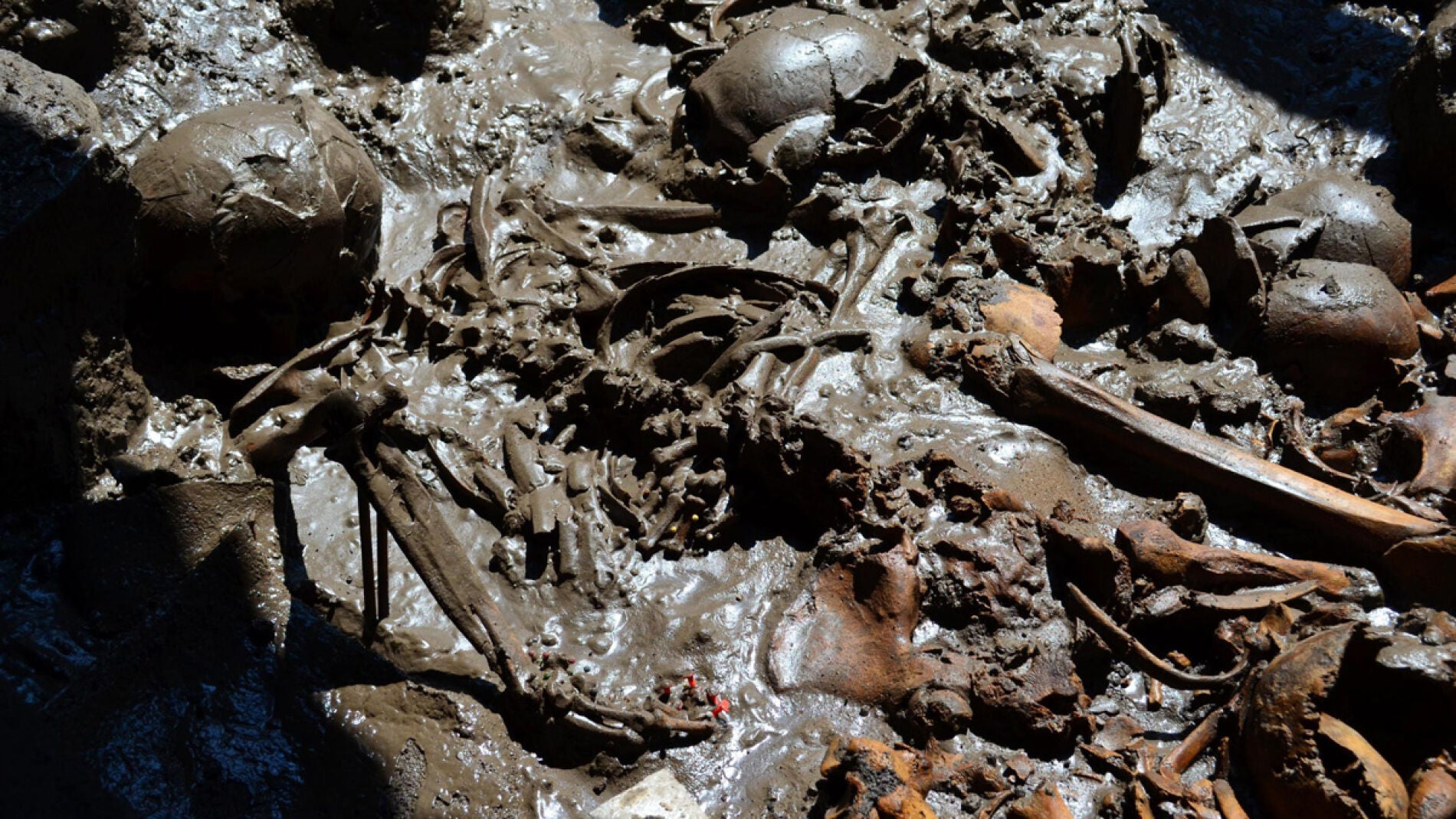 Restos de un entierro prehist&oacute;rico (archivo)