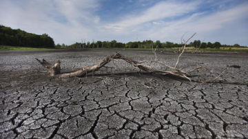 La imagen muestra el fondo de un pantano en West Lafayette, Indiana, EE.UU.