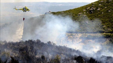 Los incendios de Galicia calcina ya más de 200 hectáreas