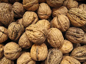 Nueces Nueces