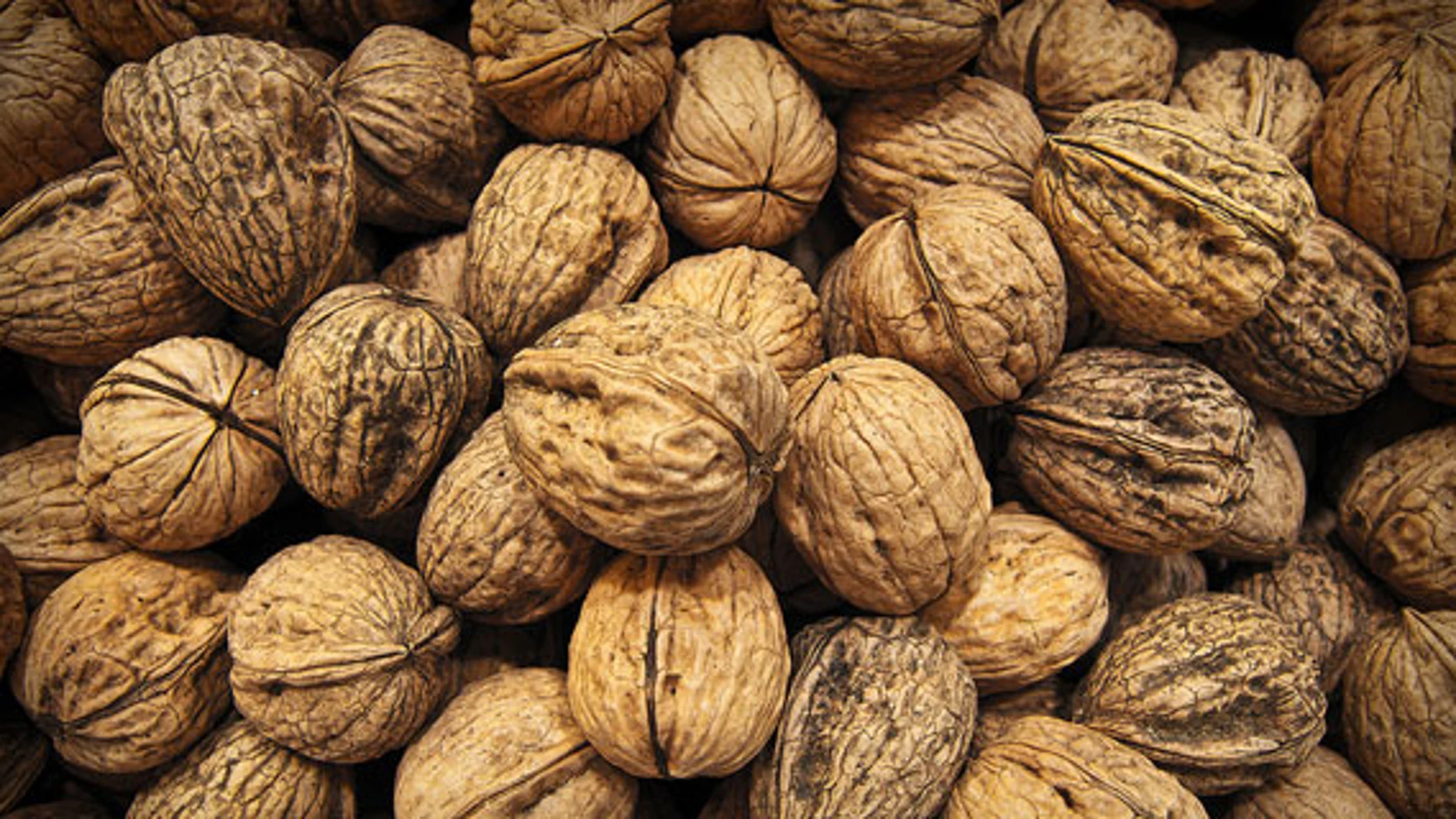 Nueces Nueces