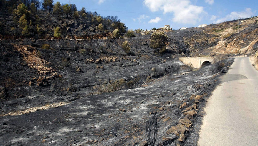 Bédar, tras el paso del fuego