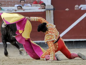Primera de feria 'Sanse 2012' Primera de feria 'Sanse 2012'