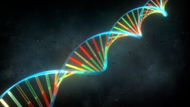Un estudio revela 80 alteraciones genéticas que aumentan el riesgo de cáncer
