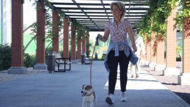 Esperanza Aguirre mete a su perro en la campaña a la alcaldía