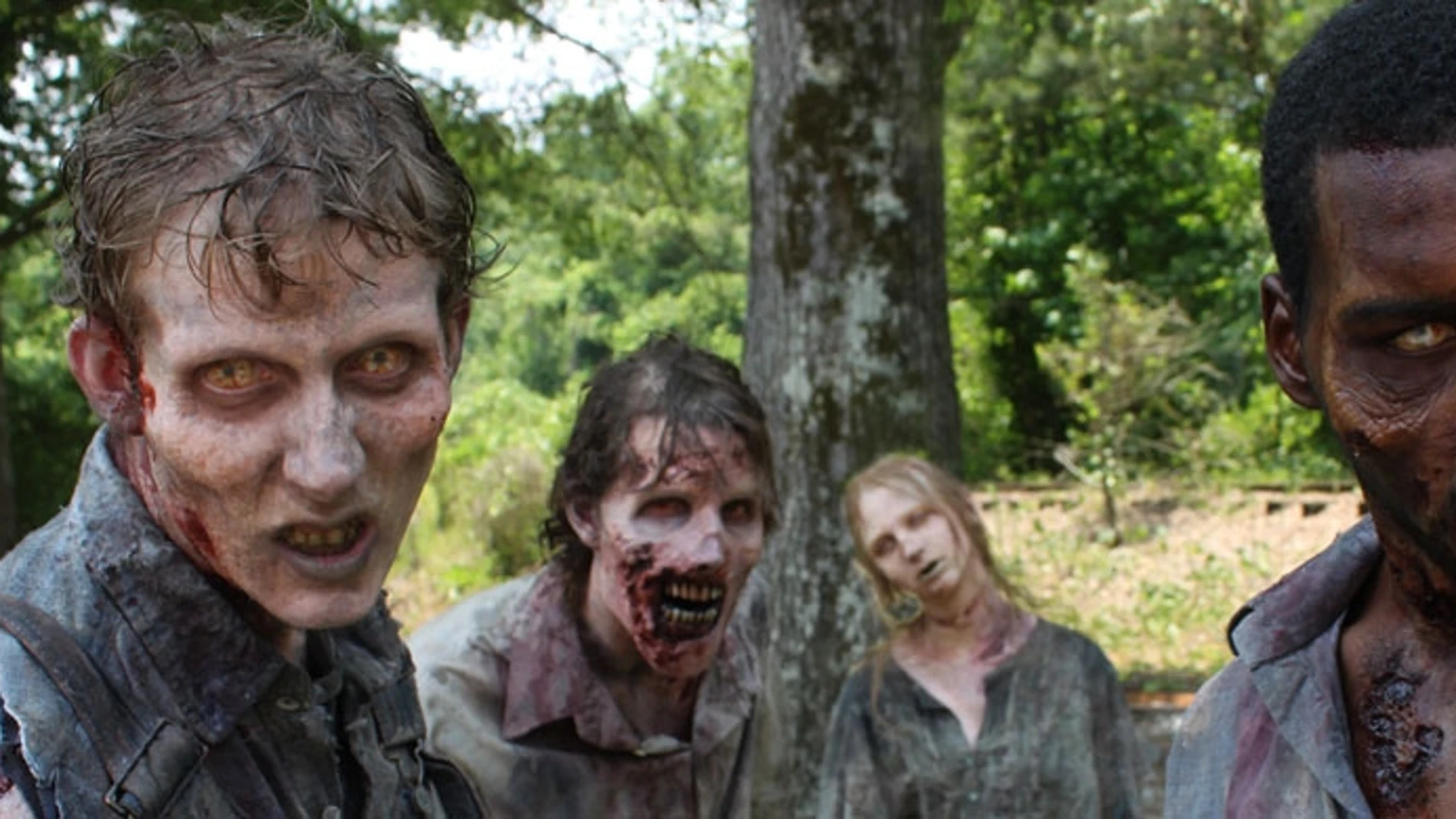 The Walking Dead (2ª temporada) The Walking Dead (2ª temporada)