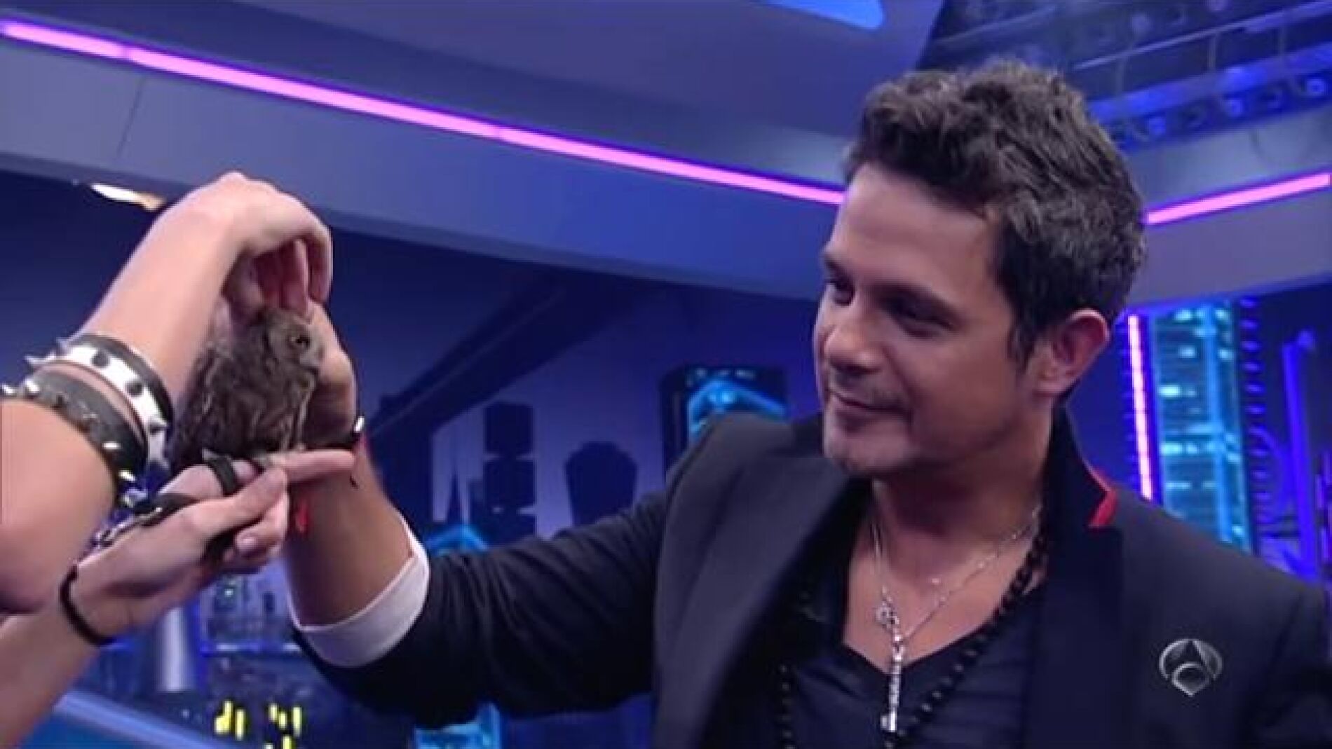 El Hormiguero