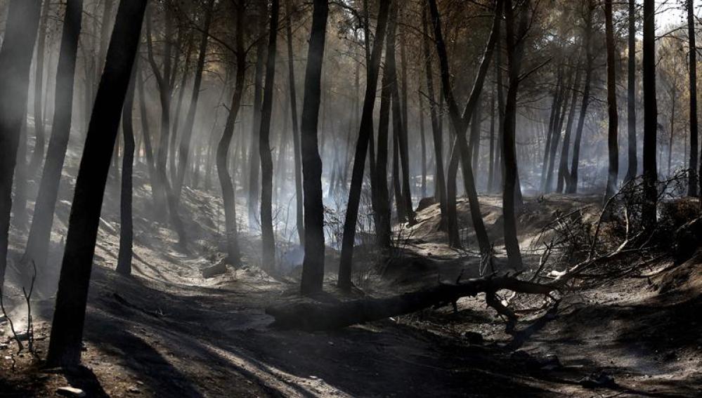 Incendio en Valencia