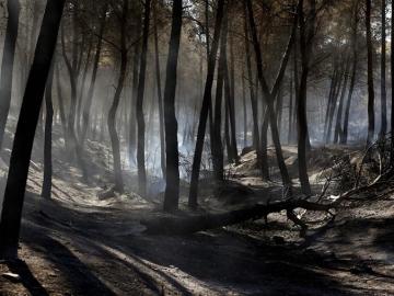 Incendio en Valencia