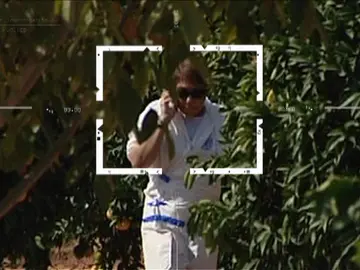 Josefina Llamas Josefina Llamas