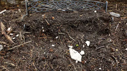 Restos del temporal tras su paso por Málaga Restos del temporal tras su paso por Málaga