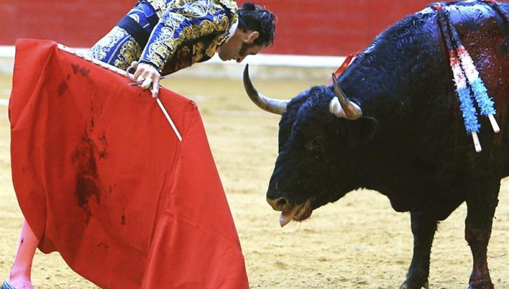 Juan Jose Padilla reta a su primer toro en la corrida de Feria del Pilar de Zaragoza
