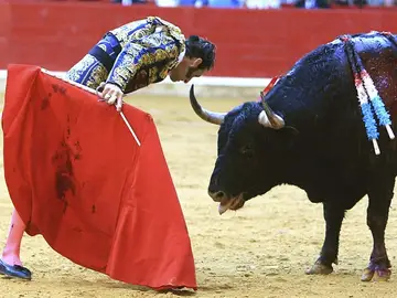 Juan Jose Padilla reta a su primer toro en la corrida de Feria del Pilar de Zaragoza Juan Jose Padilla reta a su primer toro en la corrida de Feria del Pilar de Zaragoza