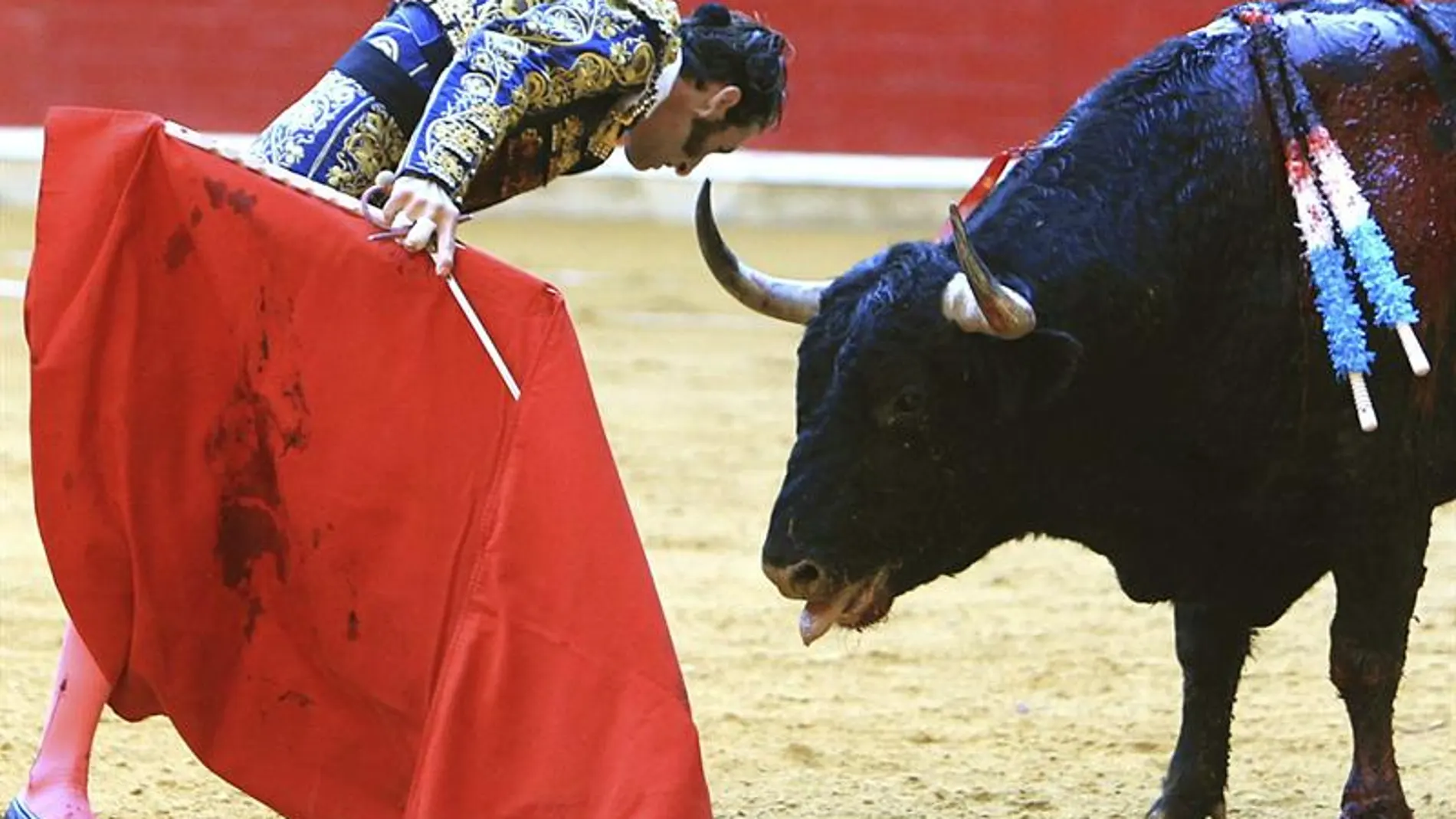 Juan Jose Padilla reta a su primer toro en la corrida de Feria del Pilar de Zaragoza 