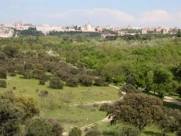 Prisión de 138 años un violador que actuaba en la Casa de Campo de Madrid Prisión de 138 años un violador que actuaba en la Casa de Campo de Madrid
