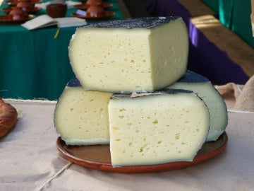 Descubierto el origen del queso
