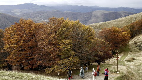 Varios peregrinos en el alto de Iba&ntilde;eta (Navarra) en una jornada en la que han descendido las temperaturas de forma considerable