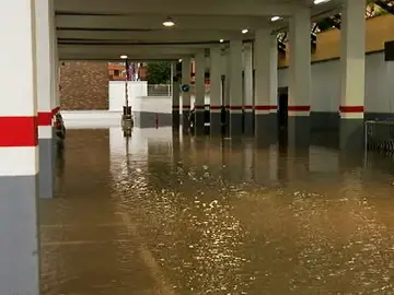 Comercio de Linares afectado por las inundaciones Comercio de Linares afectado por las inundaciones