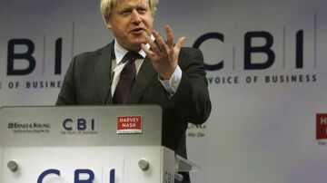 El alcalde de Londres, el conservador Boris Johnson