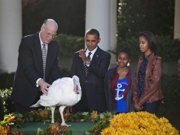 El presidente Barack Obama, con sus hijas, indulta a uno de los pavos