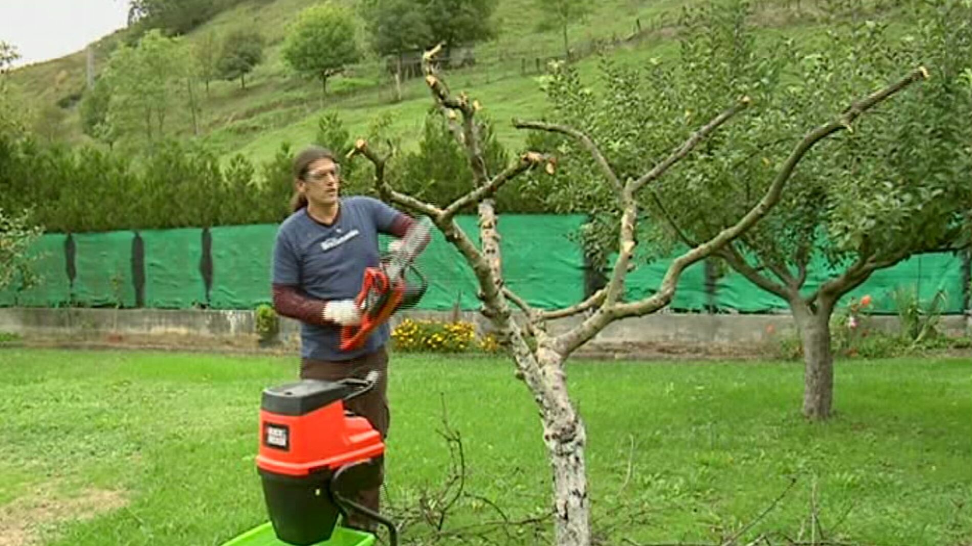 Apear un &aacute;rbol