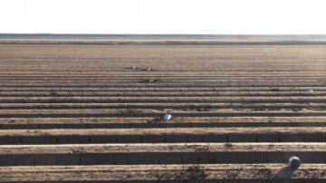 Contrabandistas mexicanos utilizan un cañón para lanzar latas con marihuana hacia EEUU 