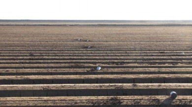Contrabandistas mexicanos utilizan un cañón para lanzar latas con marihuana hacia EEUU 