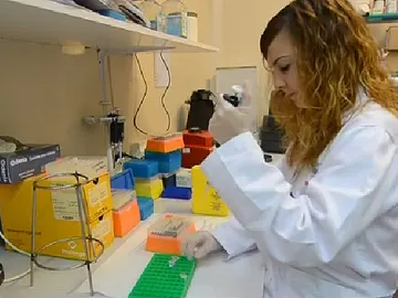 Investigaciones sobre el VIH Investigaciones sobre el VIH