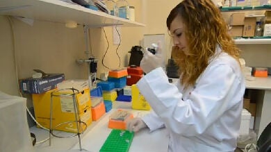Hallan la estructura proteica del virus VIH