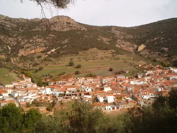 Solana del Pino, en Ciudad Real Solana del Pino, en Ciudad Real