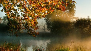 Una tarde de otoño