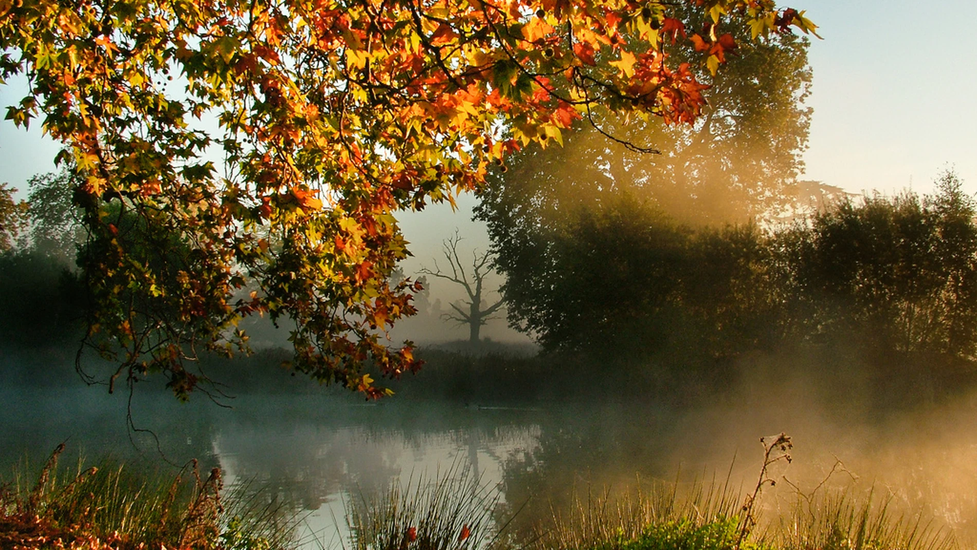 Una tarde de otoño Una tarde de otoño