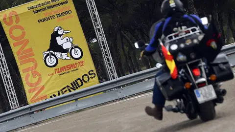 Pingüinos 2013 Pingüinos 2013