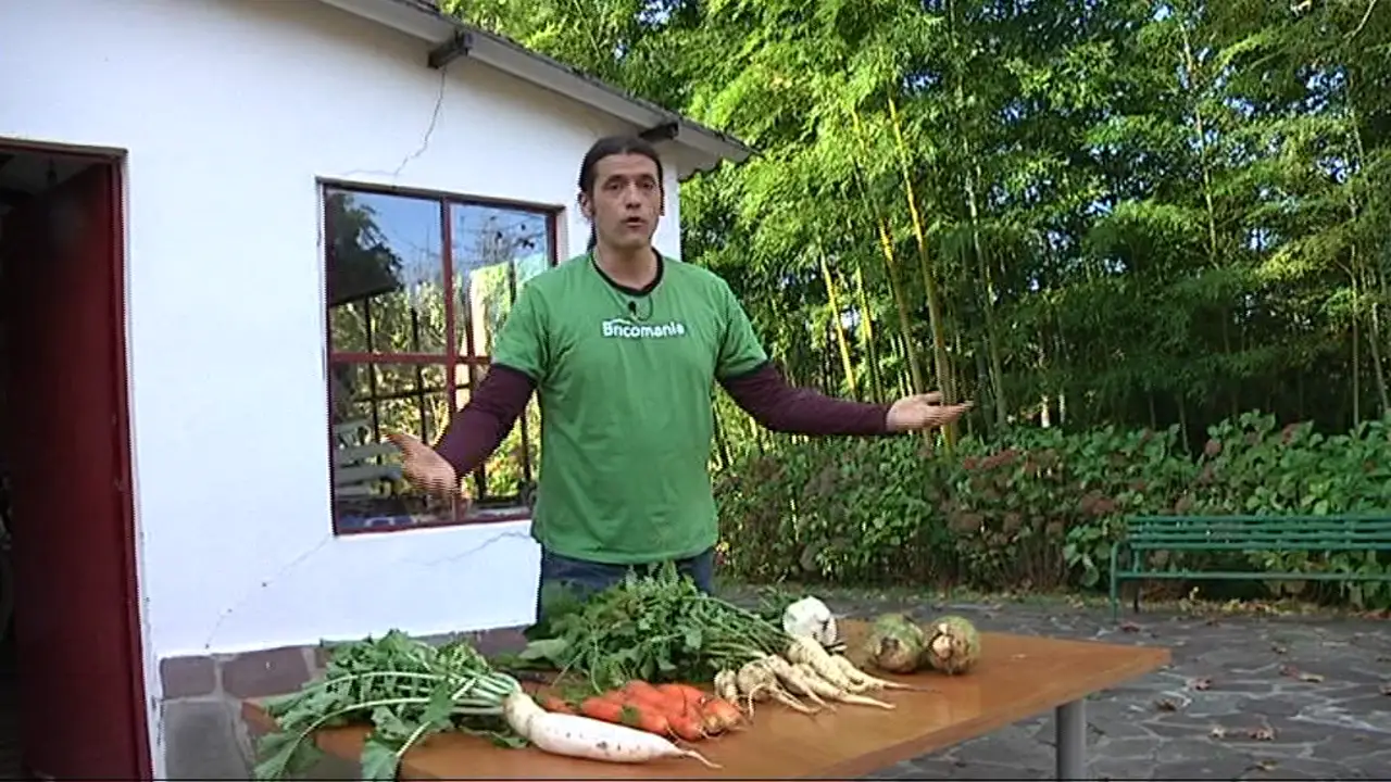 Verduras de invierno