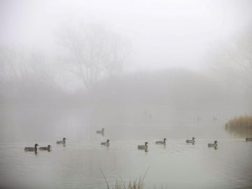 La niebla cubre España