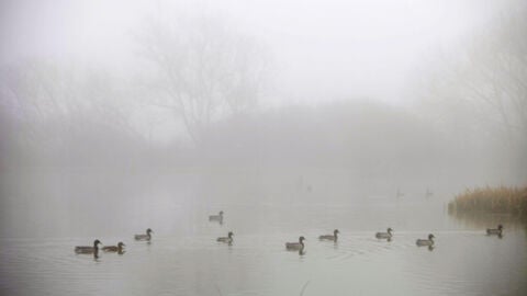 La niebla cubre Espa&ntilde;a