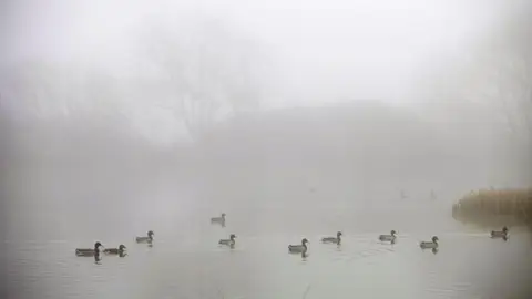 La niebla cubre España La niebla cubre España