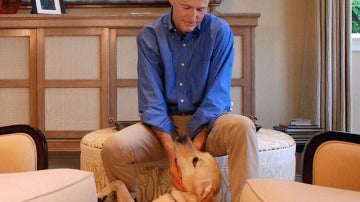 Rick Scott con Reagan, el perro que adoptó