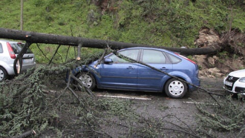 Un &aacute;rbol cae sobre un coche