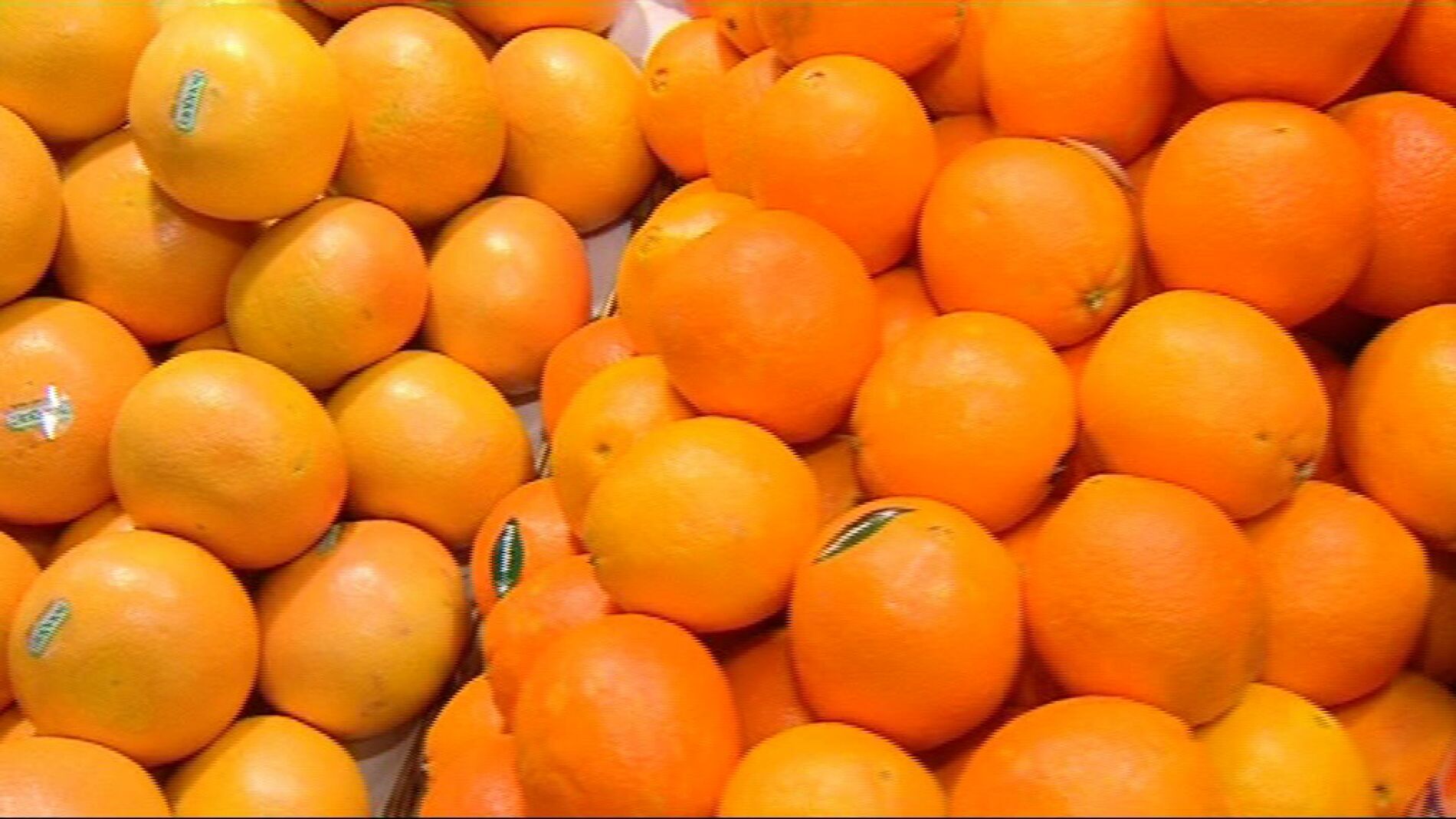 Los c&iacute;tricos son una de las mayores fuentes de vitamina C