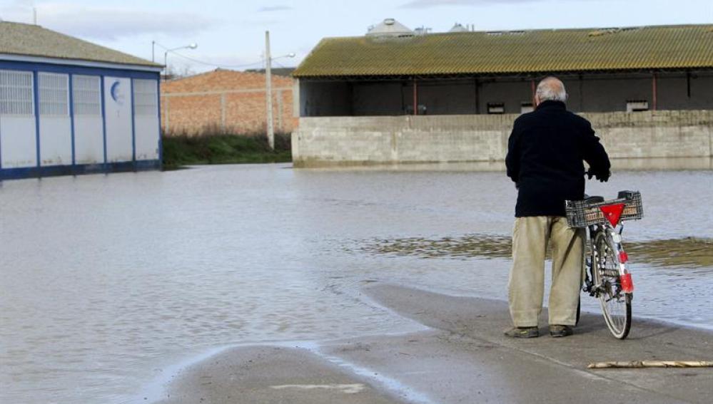 Crecida del río Ebro en Novillas (Zaragoza)